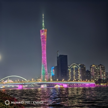 黄色港湾的照片