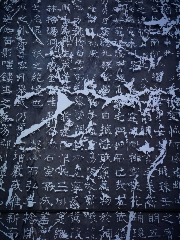 蓝总的照片