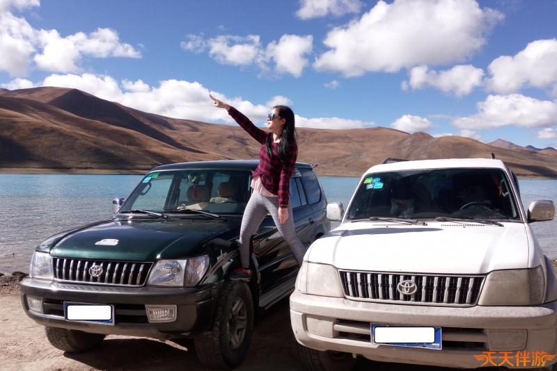 一场以假乱真的自驾游