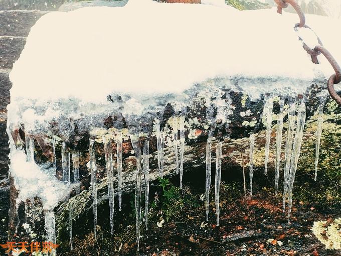 南方里的北方之雪中黄山