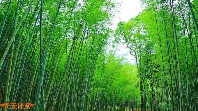 大余丫山，你想要的都有