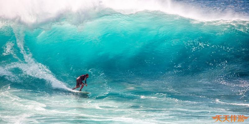 洛杉矶的不寻常玩法