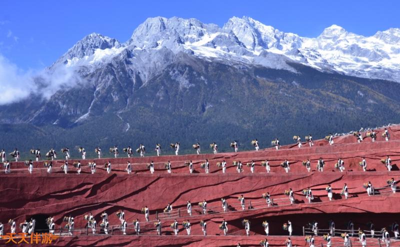 你喜欢丽江千古情还是喜欢印象丽江？