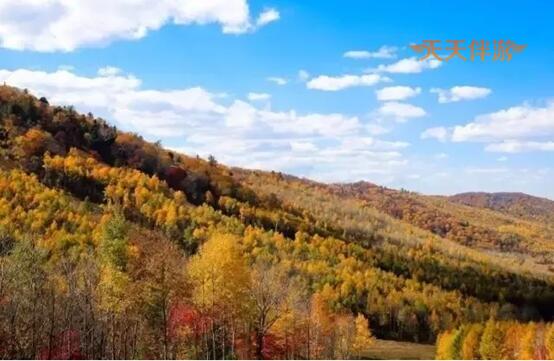 秋季当出行，国内这3个秘境最值得去