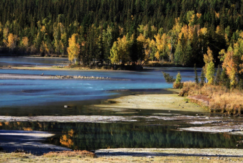 喀纳斯景点简介