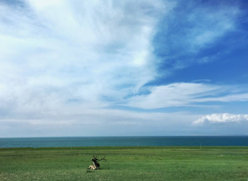环青海湖骑行路线攻略