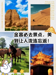 金昌旅游攻略：探秘镍都秘境，邂逅戈壁与花海的浪漫