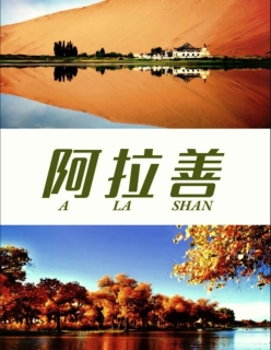 阿拉善旅游攻略 | 探秘沙漠秘境与千年文明的交融之旅