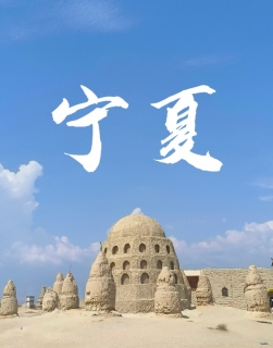 宁夏旅游攻略：大漠孤烟与塞上江南的奇幻碰撞