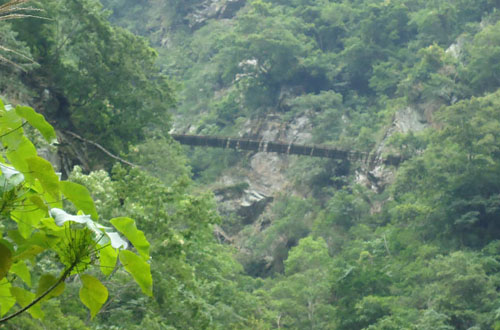 锥麓古道 全世界最美