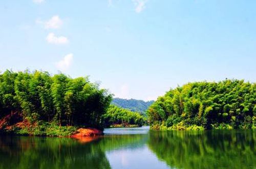 赤水竹海—贵州赤水