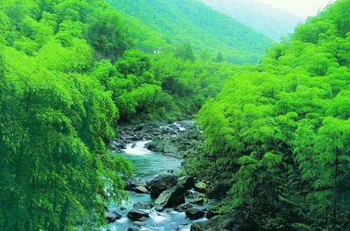 咸宁星星竹海风景区图片